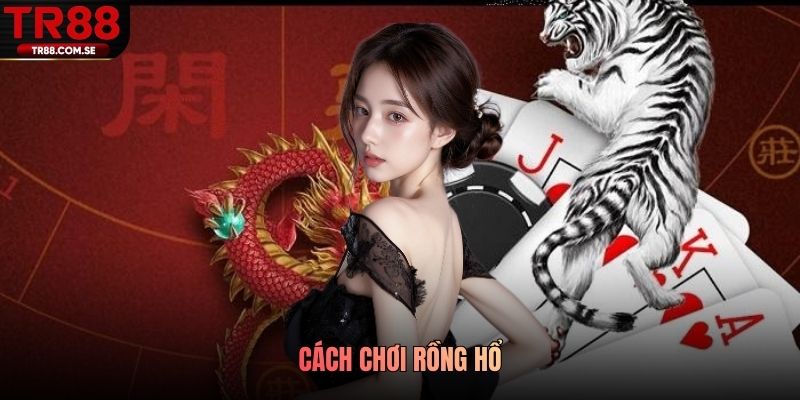 cách chơi rồng hổ