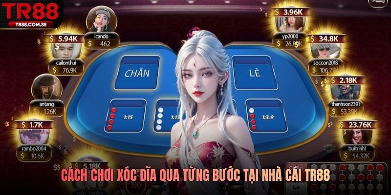 Cách chơi xóc đĩa qua từng bước tại nhà cái TR88