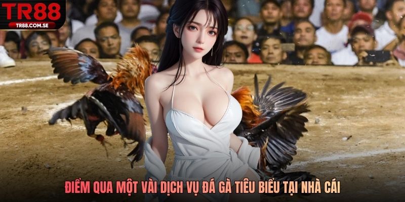 Điểm qua một vài dịch vụ đá gà tiêu biểu tại nhà cái