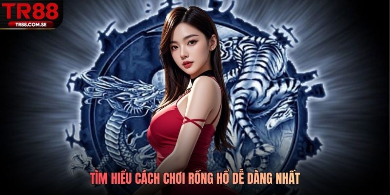 Tìm hiểu cách chơi rồng hổ dễ dàng nhất