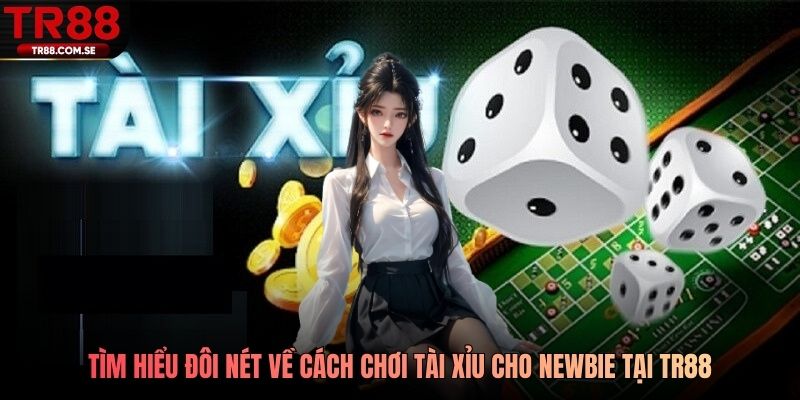 Tìm hiểu đôi nét về cách chơi Tài Xỉu cho newbie tại TR88